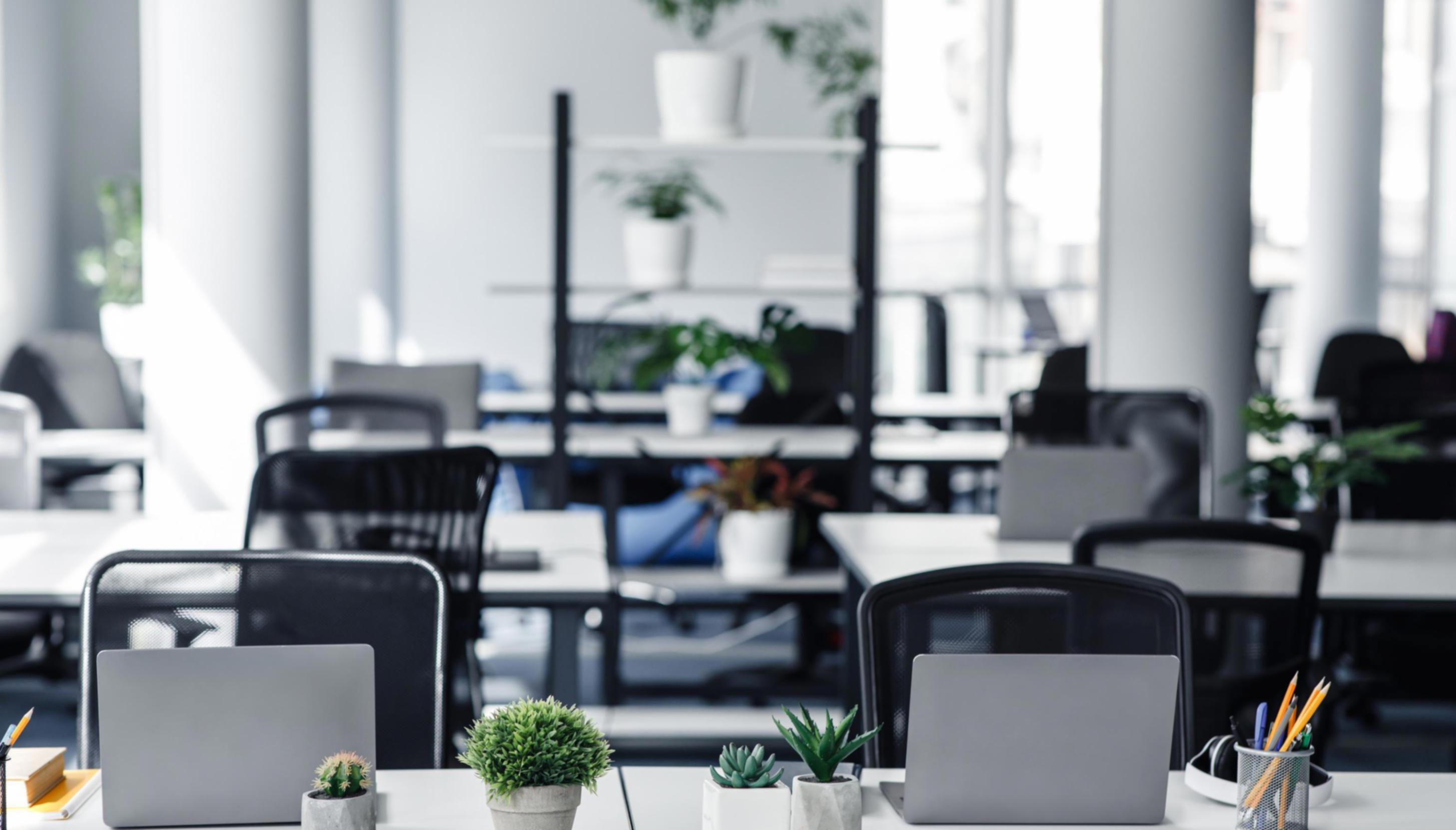 Professionnel travaillant sur des processus d'automatisation